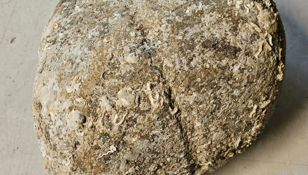May have found the world's oldest anchor in Norway: 'An incredibly exciting find'