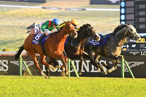 Masquerade Ball Preps for Japan Cup in Tenno Sho