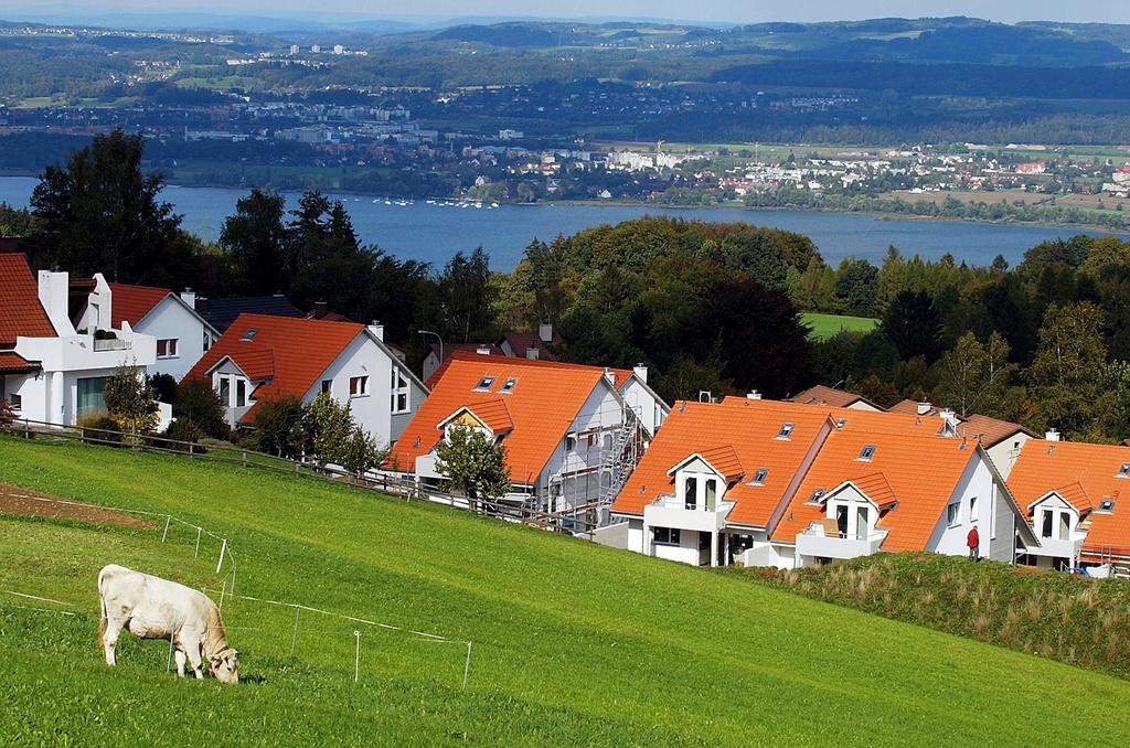 Houses overlooking Lake Zurich, one of the most expensive areas for property in Switzerland