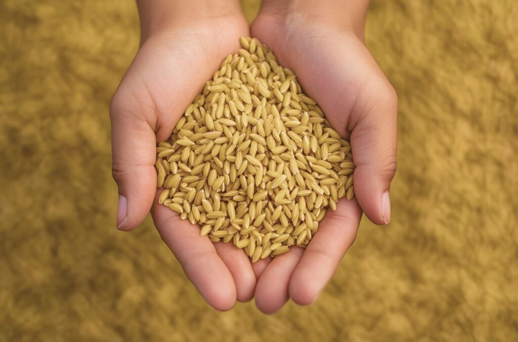 Ukraine, UK and Latvia Join Forces to Detect Stolen Ukrainian Grain