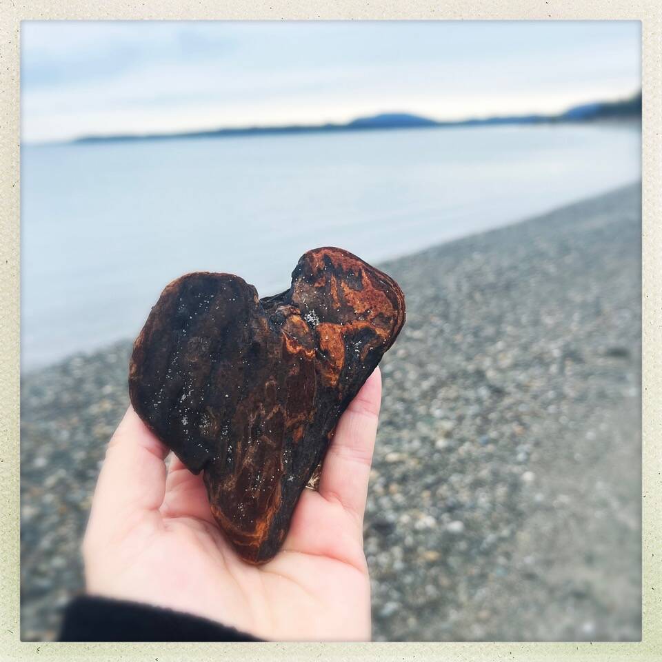Interfaith retreat brings San Juan Islands faith communities together on environmental stewardship Nikyta Palmisani photo.