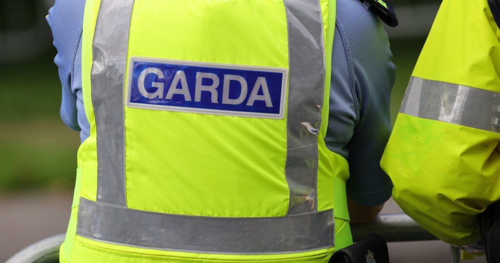 More than 20 Romanian men with convictions deported on charter flight – The Irish Times More than 20 Romanian men with convictions deported on charter flight – The Irish Times