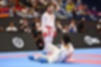 Armenia’s Suren Harutyunyan Takes Silver After One-Point Loss in Karate Final