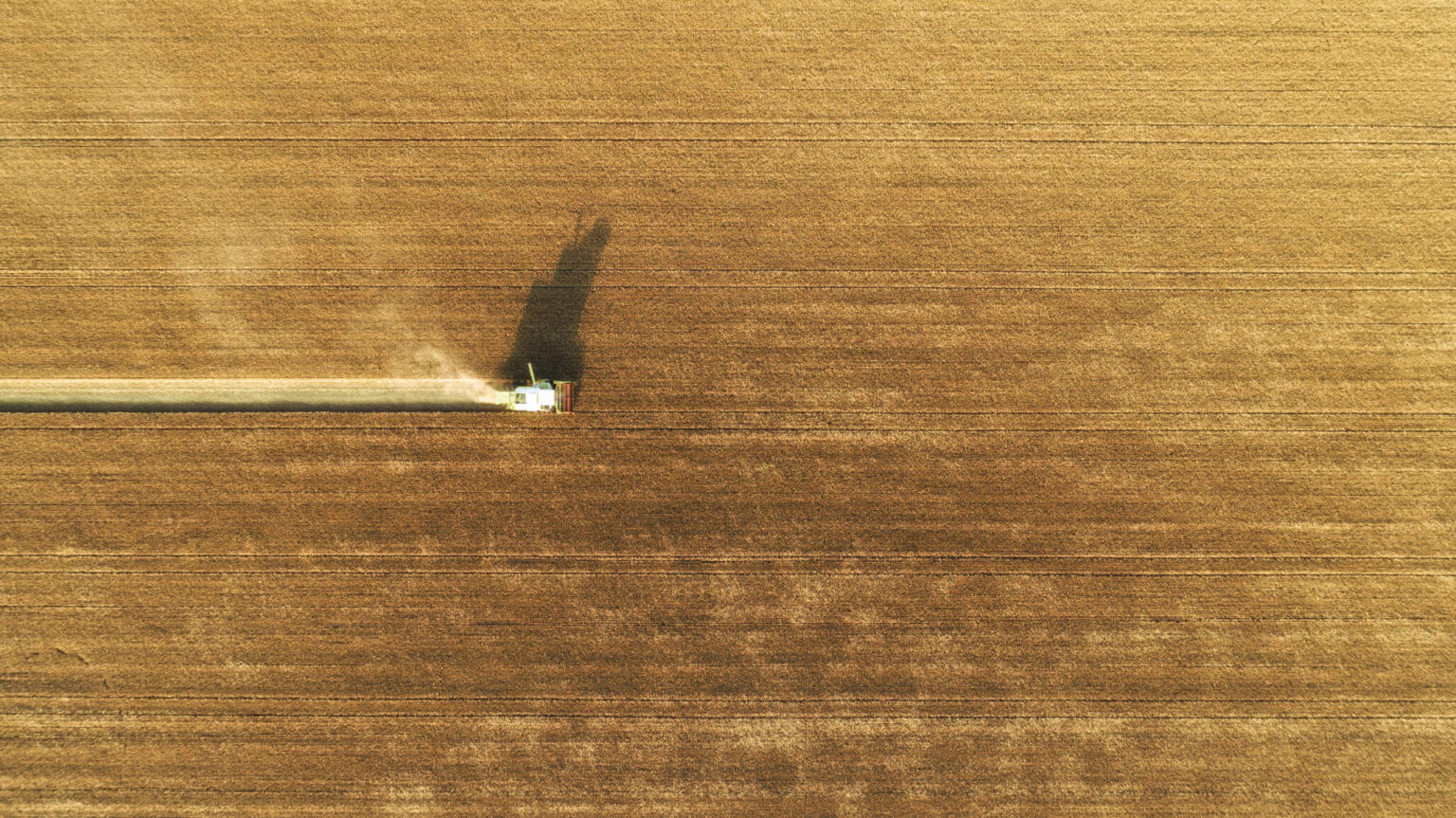 European Agricultural Competitiveness Falls Behind Rivals Aerial view on combine harvester gathers the wheat at sunset. Harvesting grain field, crop season. Top down view on harvester in the partly harvested field, diagonal composition.Summer, Europe