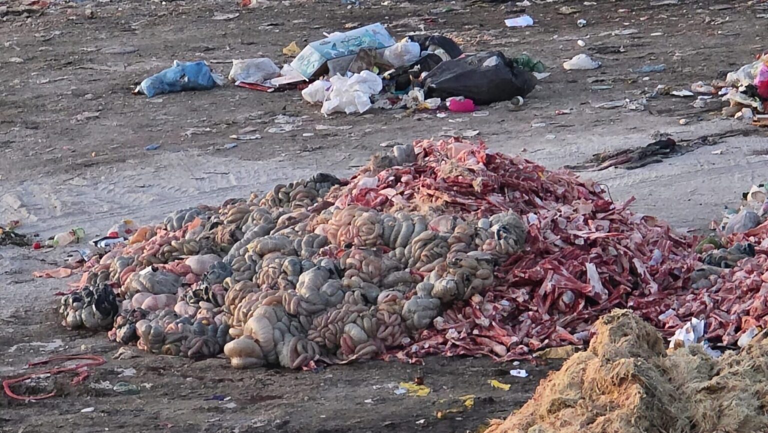 Stench from Bosnia’s Ramici Landfill Indicates Mounting Waste Challenges