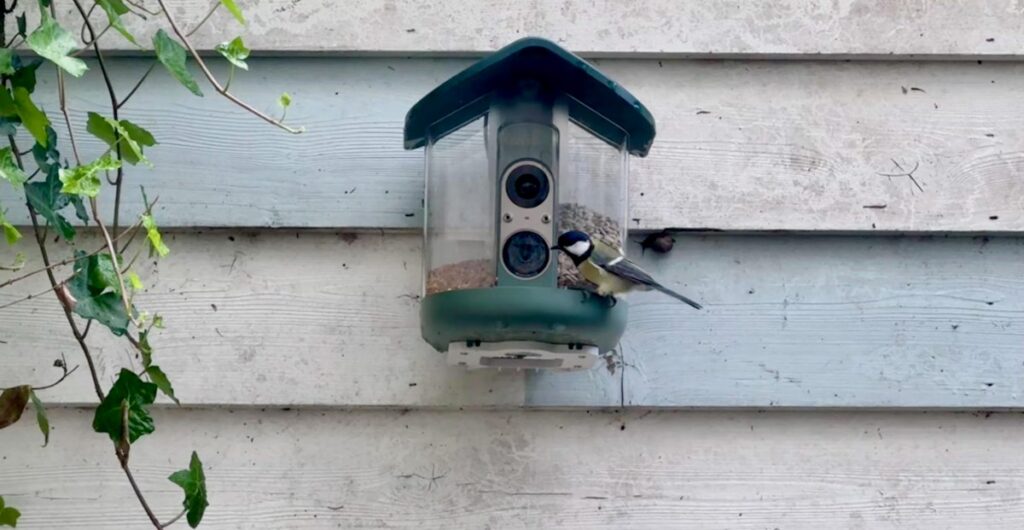 My brief romance with an AI bird feeder My brief romance with an AI bird feeder