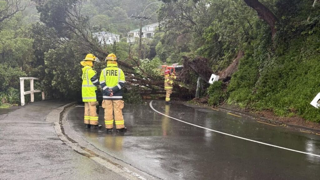 Weather: Strongest Wellington winds recorded in Kelburn, Mt Kaukau Weather: Strongest Wellington winds recorded in Kelburn, Mt Kaukau