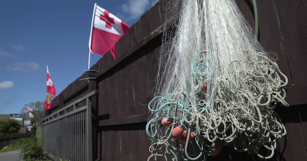 Botched deportation attempt leaves four Tongan children traumatised Botched deportation attempt leaves four Tongan children traumatised