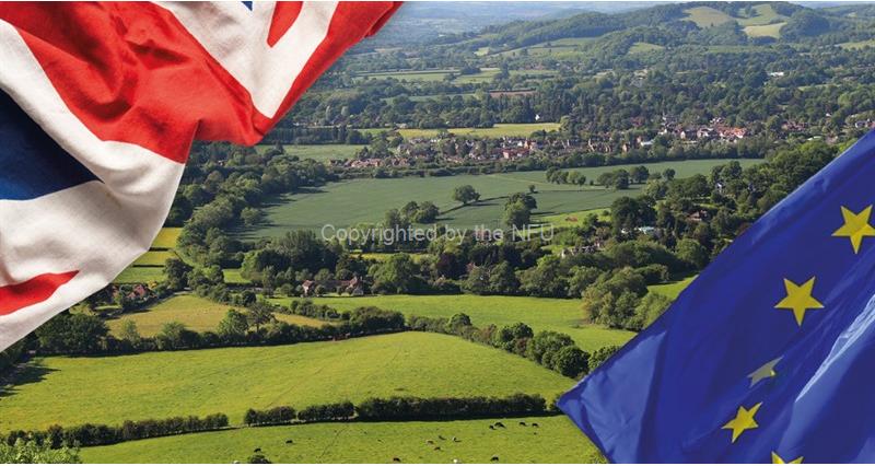 NFU sets out priorities as UK-EU SPS negotiations enter critical phase – NFUonline union jack and eu flag at corners of a british farming landscape