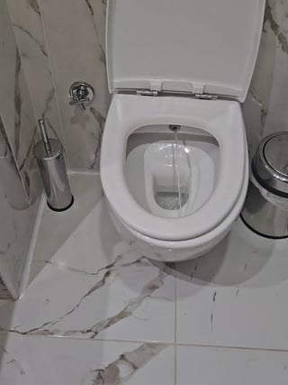 How are you supposed to use this water spray in toilets in Kosovo? It doesn't even spray at the right place or right direction.